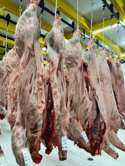 Read more about the article Custom Meat Processing in Oklahoma