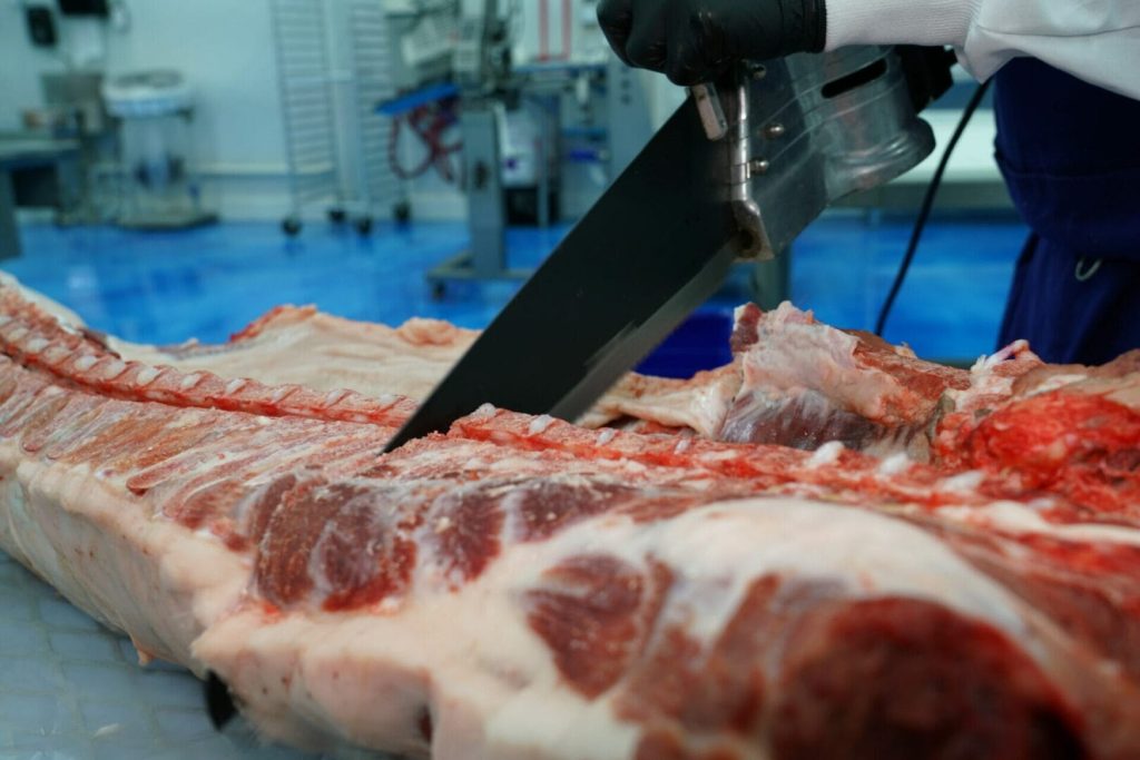 Butchering a Pig vs a Cow in Oklahoma 1