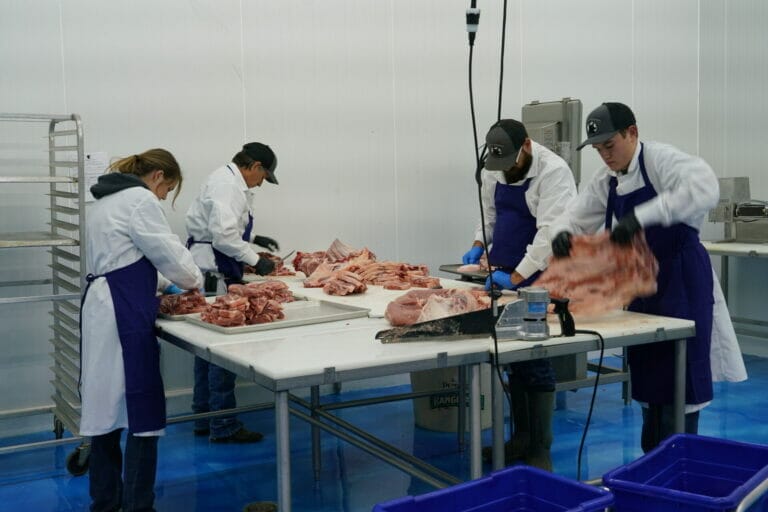 Meat Processing 2